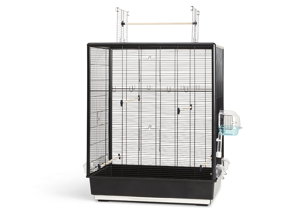 PRIMO 60 OPEN EMPIRE BIRD CAGE