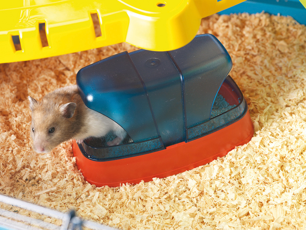 HAMSTER TOILET