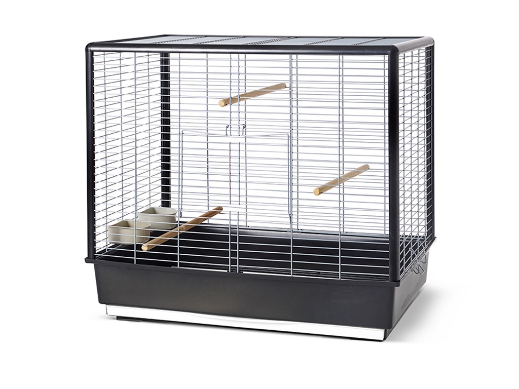 NOAH KNOCK DOWN COCKATIEL BIRD CAGE