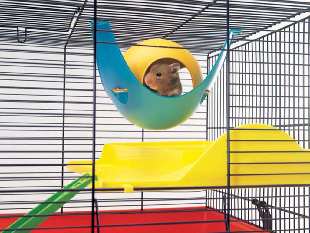 SPUTNIK HAMSTER HOUSE