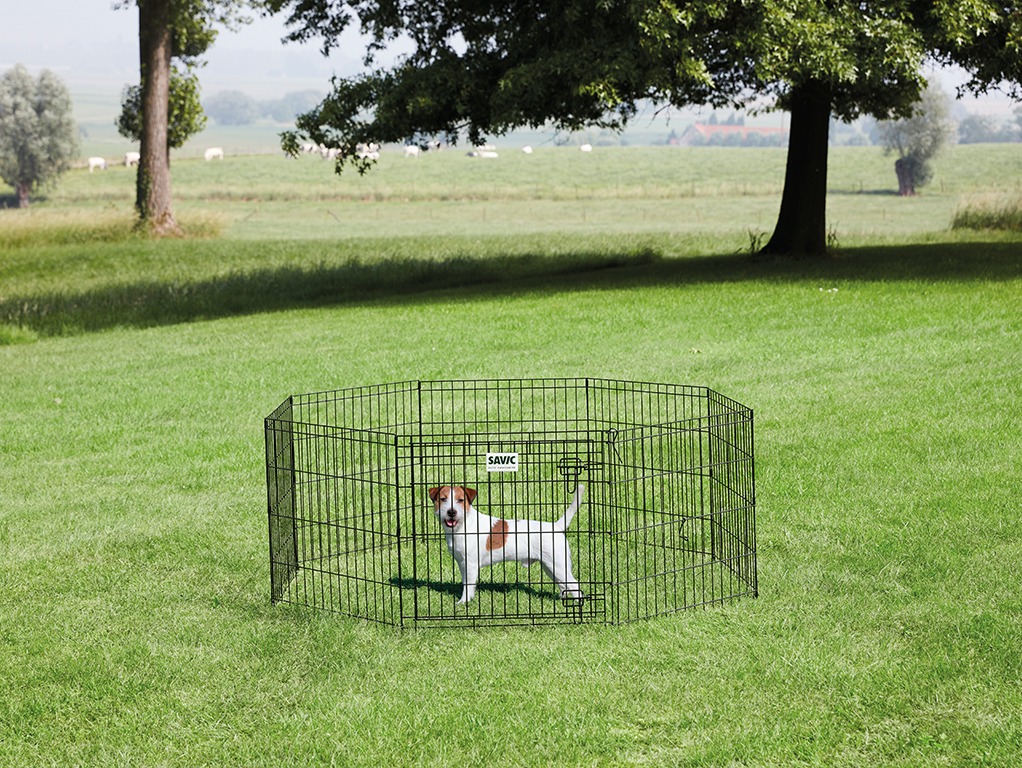 DOG PARK PLAY PEN