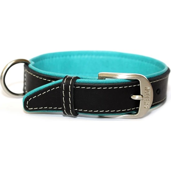  Wolters Leather Collar Terranova Flat 50Cm X 30Mm SıyahPetrol Mavısı