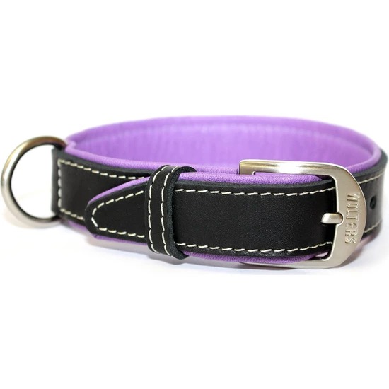  Wolters Leather Collar Terranova Flat 40Cm X 20Mm SıyahMor