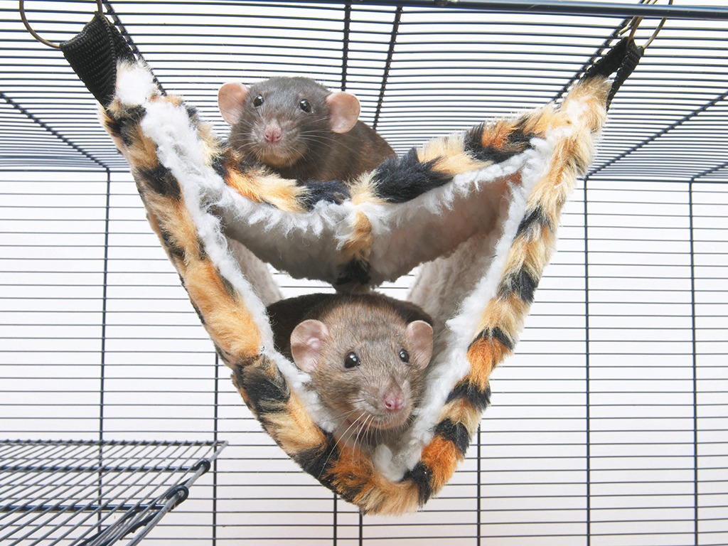 RELAX DE LUXE FAKE FUR RAT HAMMOCK