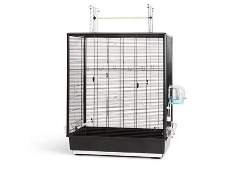 PRIMO 60 OPEN EMPIRE BIRD CAGE