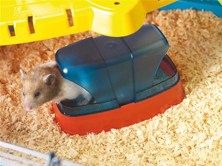 HAMSTER TOILET