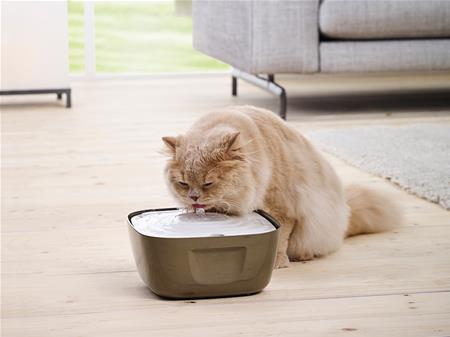 VOLCANO DRINKING FOUNTAIN