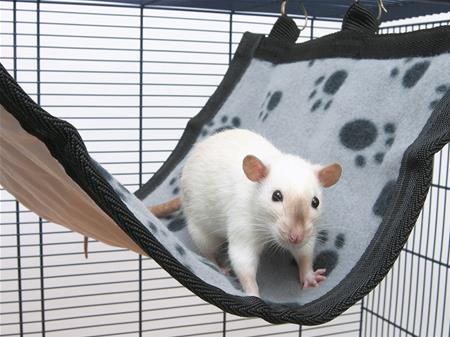 RELAX DE LUXE FLAT RAT HAMMOCK