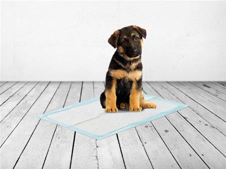 PUPPY TRAINER PADS EXTRA-LARGE TRAINING PADS