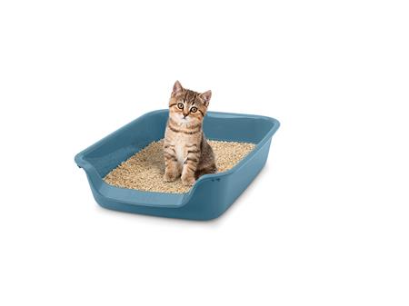 JUNIOR TOILET LITTER BOX