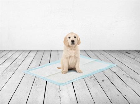 PUPPY TRAINER PADS LARGE TRAINING PADS