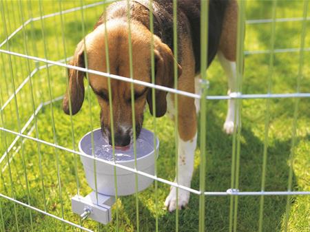 CROCK FOOD BOWL