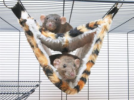 RELAX DE LUXE FAKE FUR RAT HAMMOCK