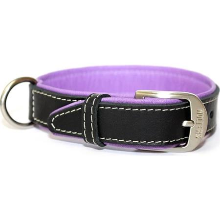 Wolters Leather Collar Terranova Flat 60CmX40Mm SıyahMor