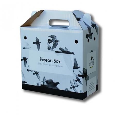 Transport box carton 1 pigeon